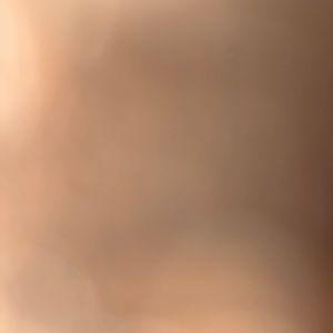 Meet your Posher, Shelia